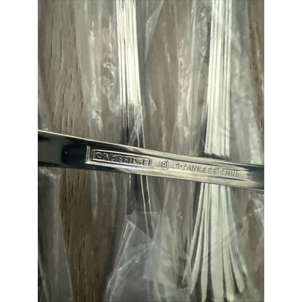 Set of 12 Vintage Cambridge TRACY Stainless Iced Tea Spoons NOS‎